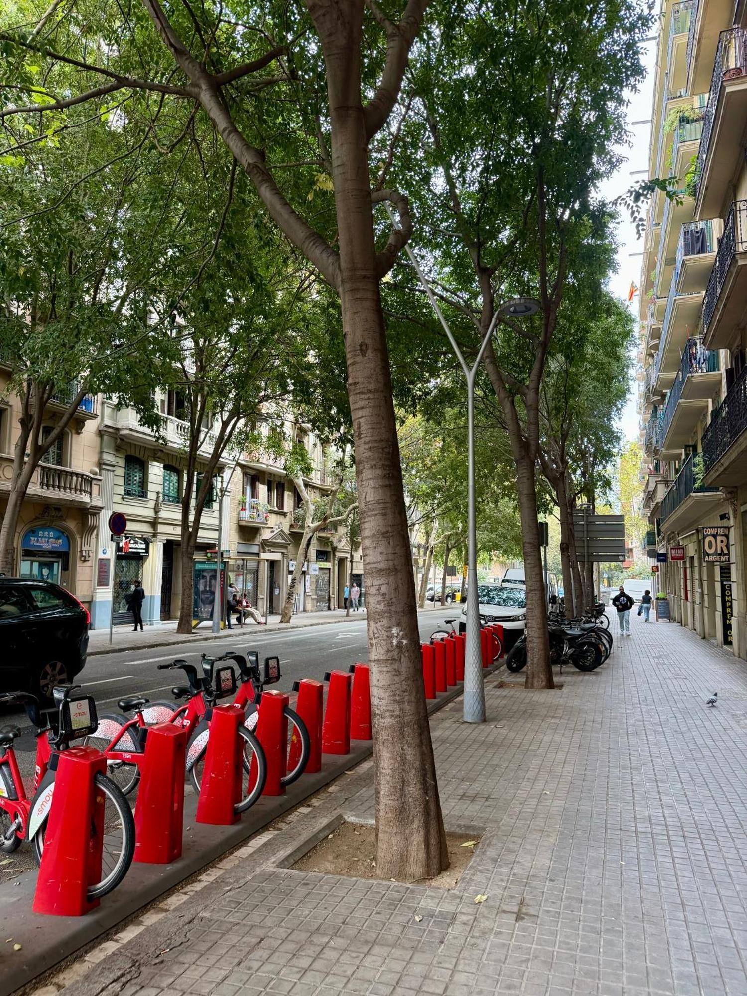 Newly Renovated Stylish Eixample - Great Location Barcelona Exteriér fotografie